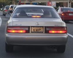 306-2433 ALWAYS.jpg